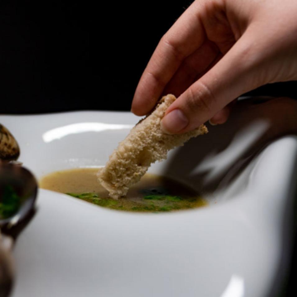 Mollusca do Atlântico