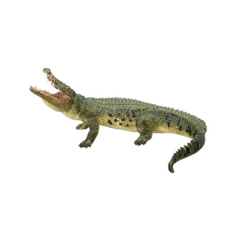 Crocodilo c/ Mandíbula art. XL