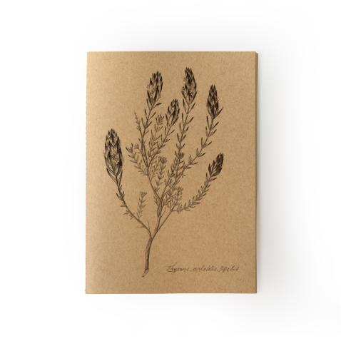 Caderno Herbarium | A5 - Erva-ursa, UP