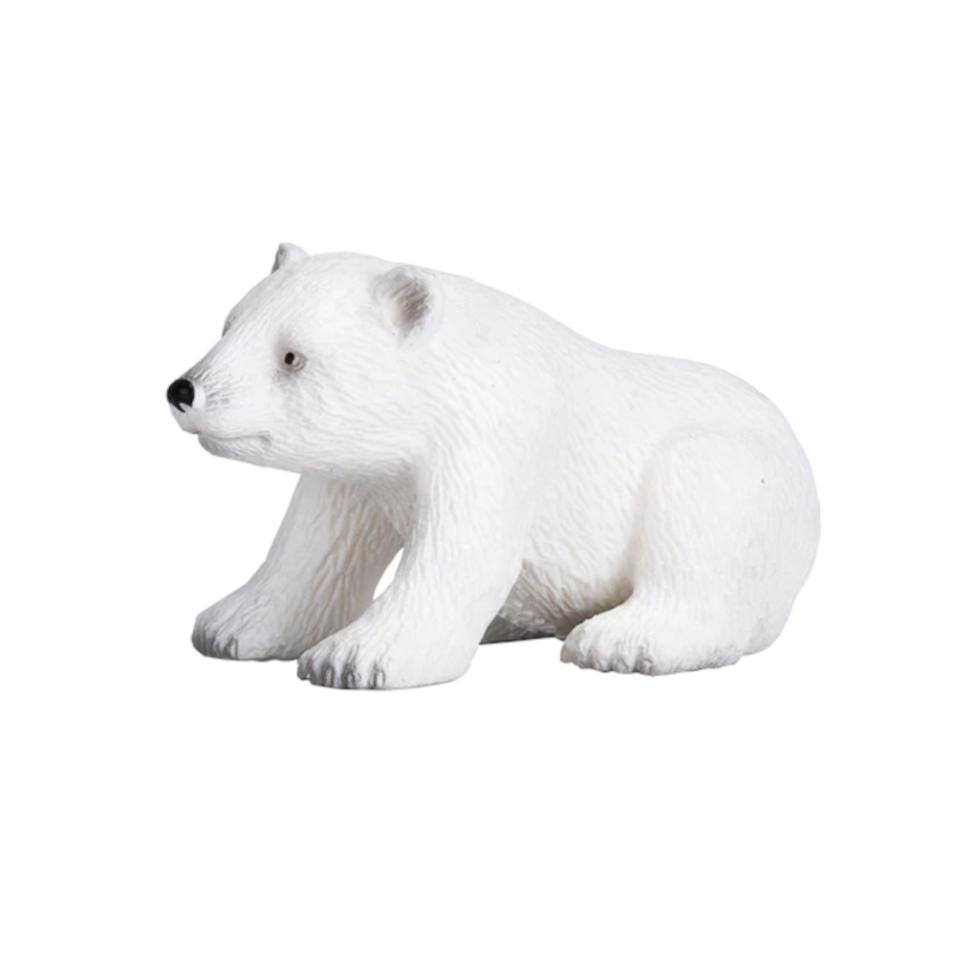 Urso Polar filhote sentado | S