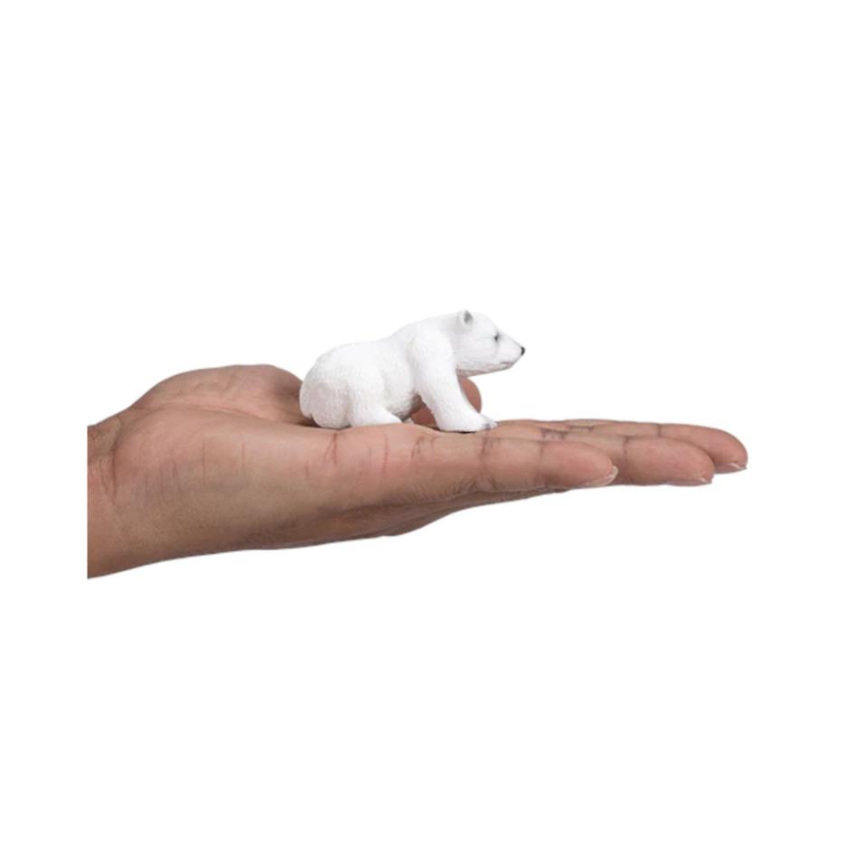 Urso Polar filhote sentado | S