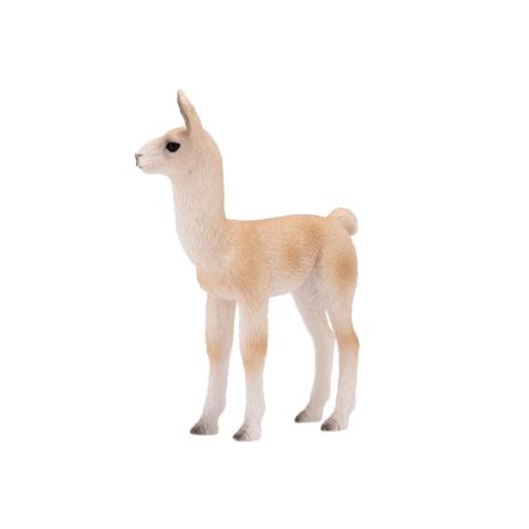 Lama filhote | M