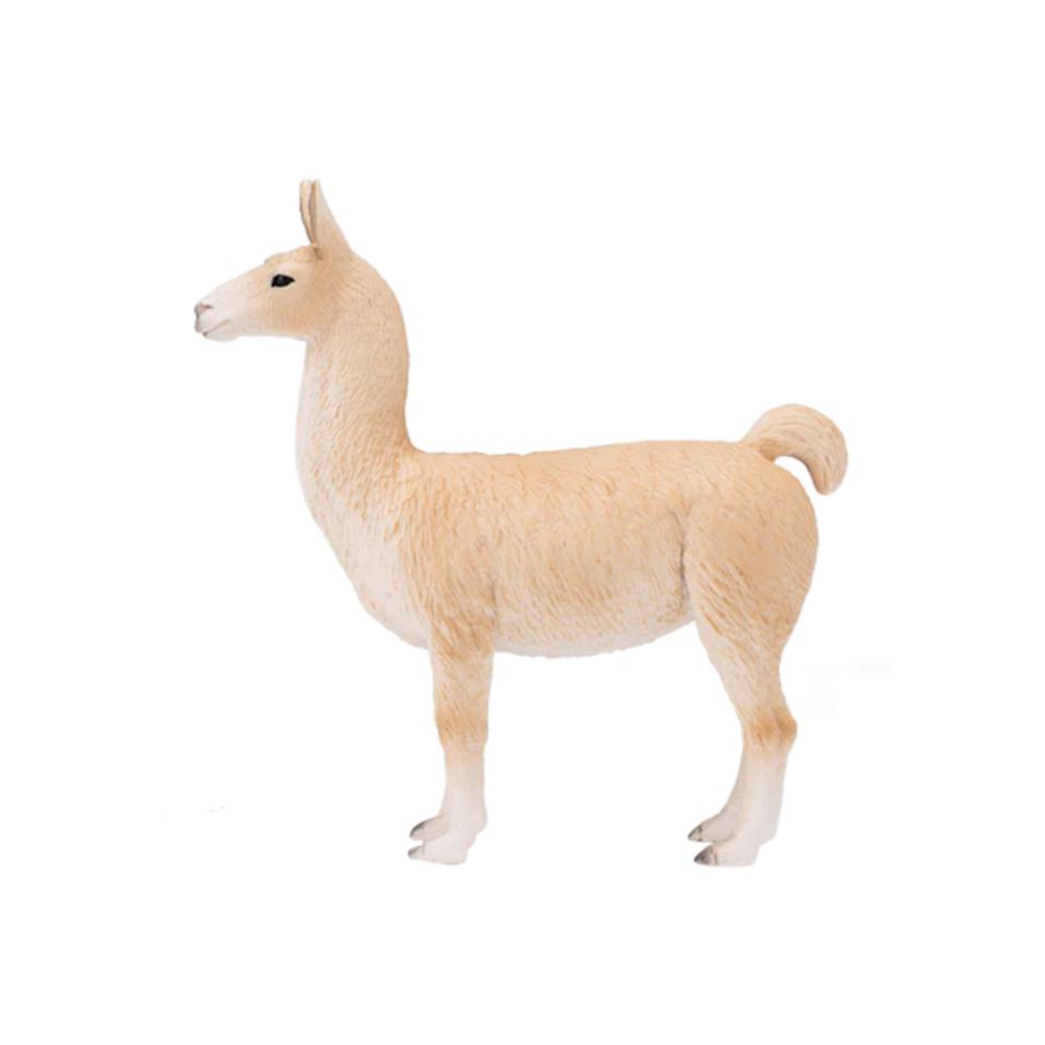Lama | L