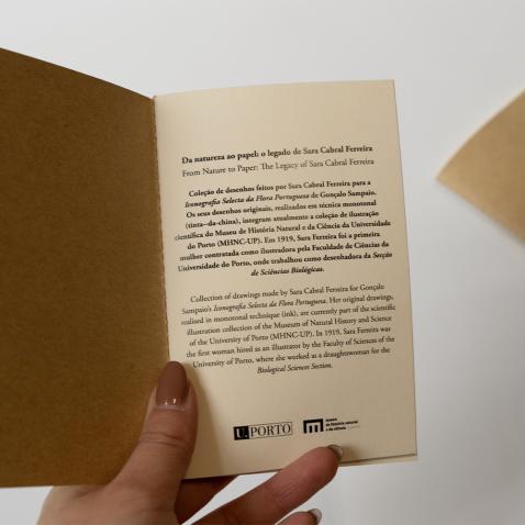 Caderno Herbarium | A6 - Erva-ursa, UP