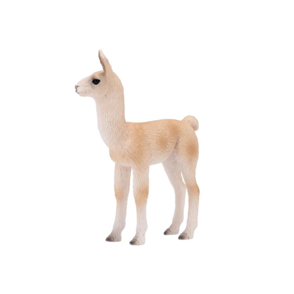 Lama filhote | M