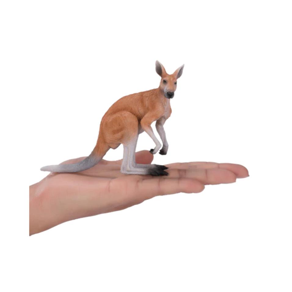 Kangoroo | L