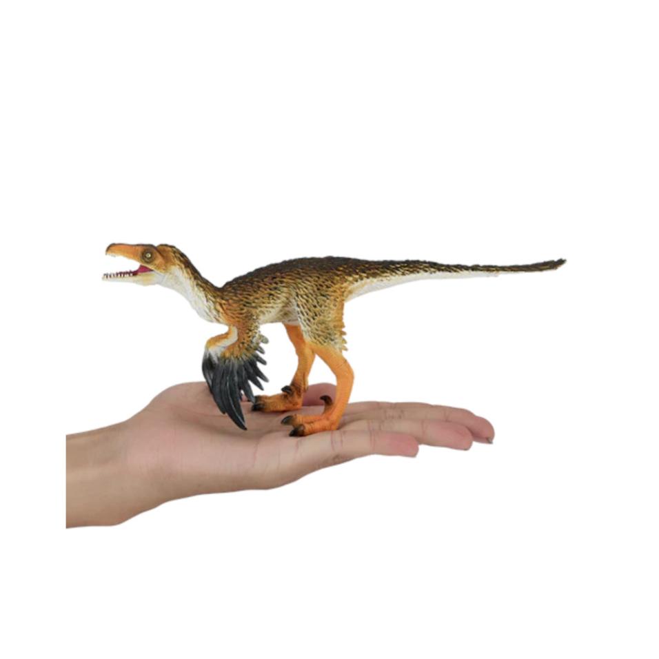 Troodon c/ Mandibula art. - XXL