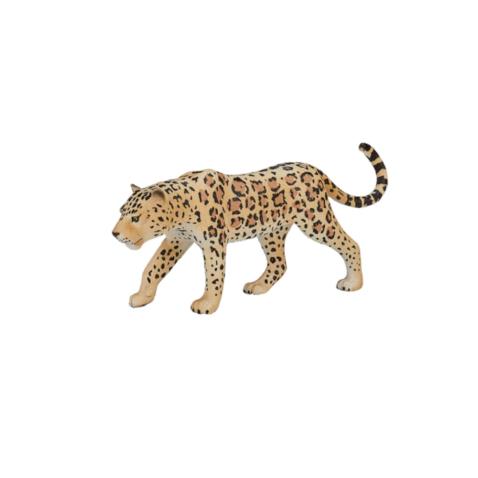 Leopardo | L