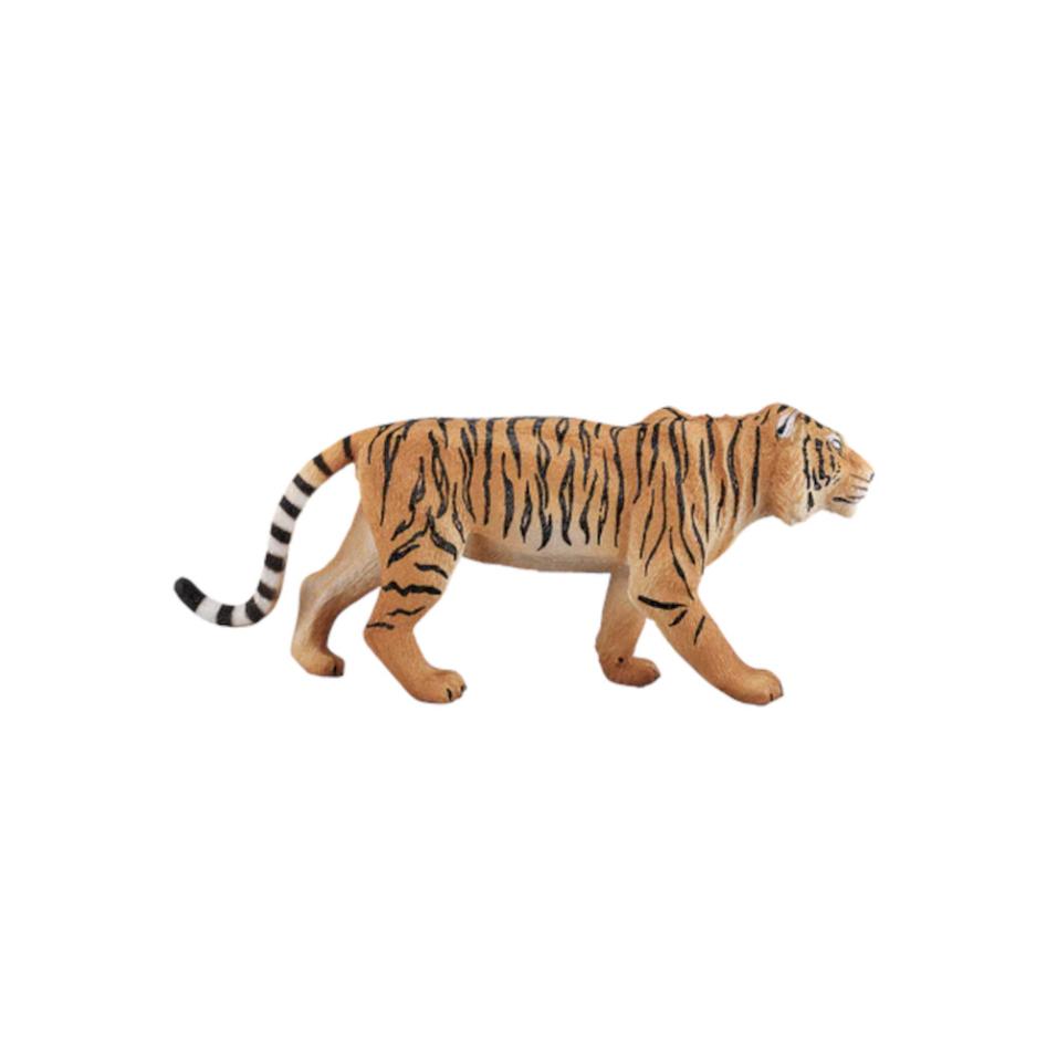 Tigre de Benguela | XL
