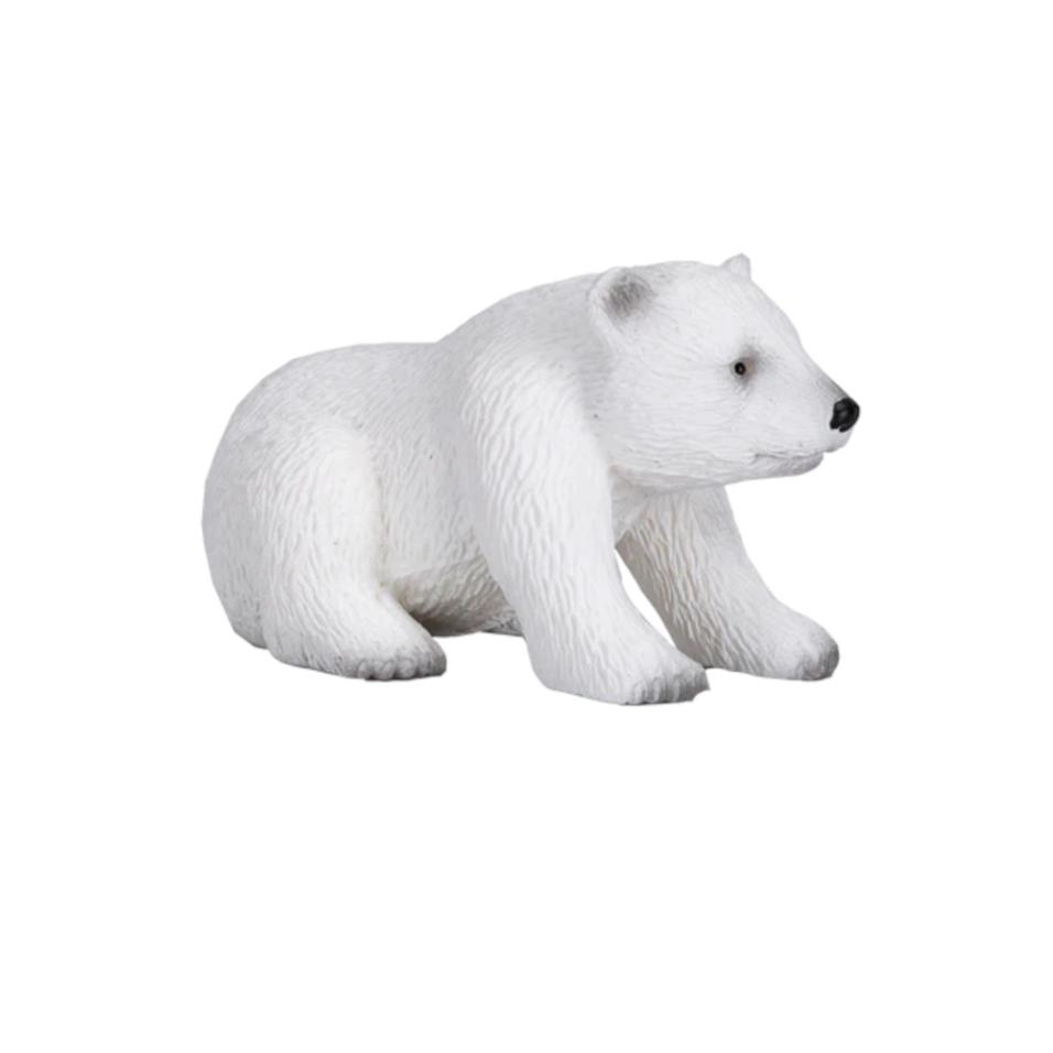 Urso Polar filhote sentado | S