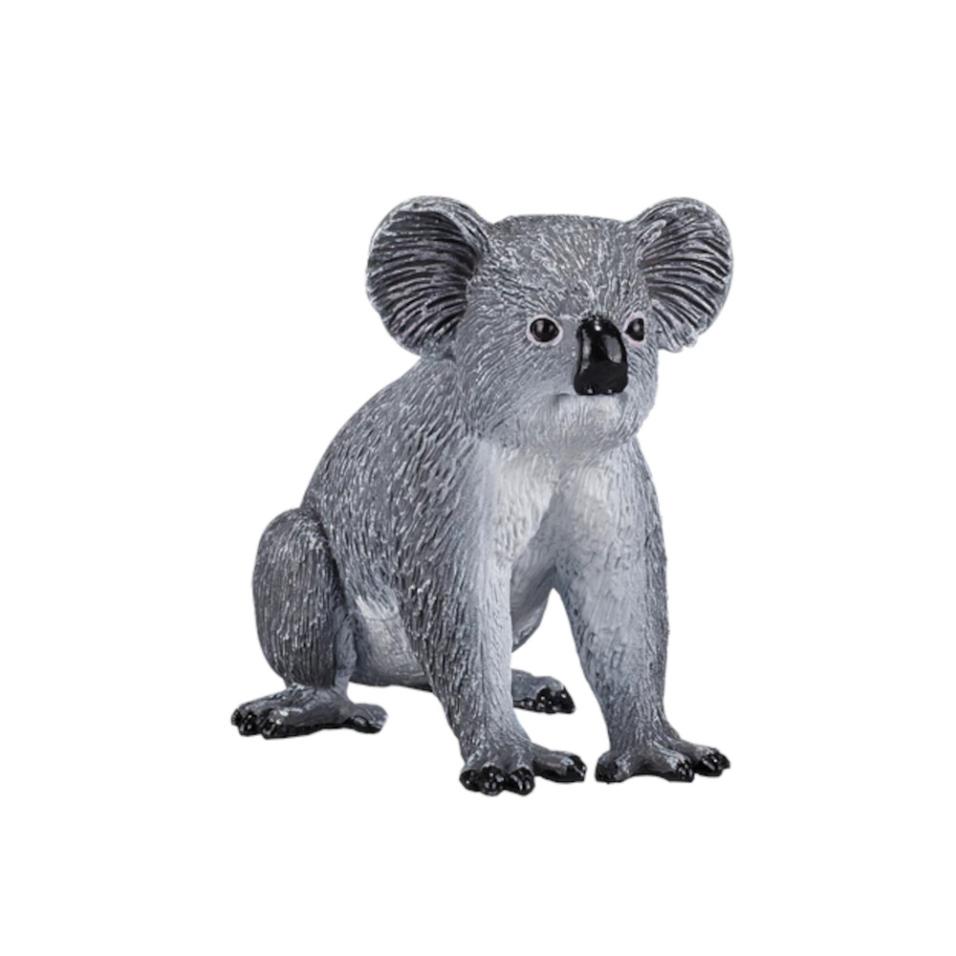 Koala | M