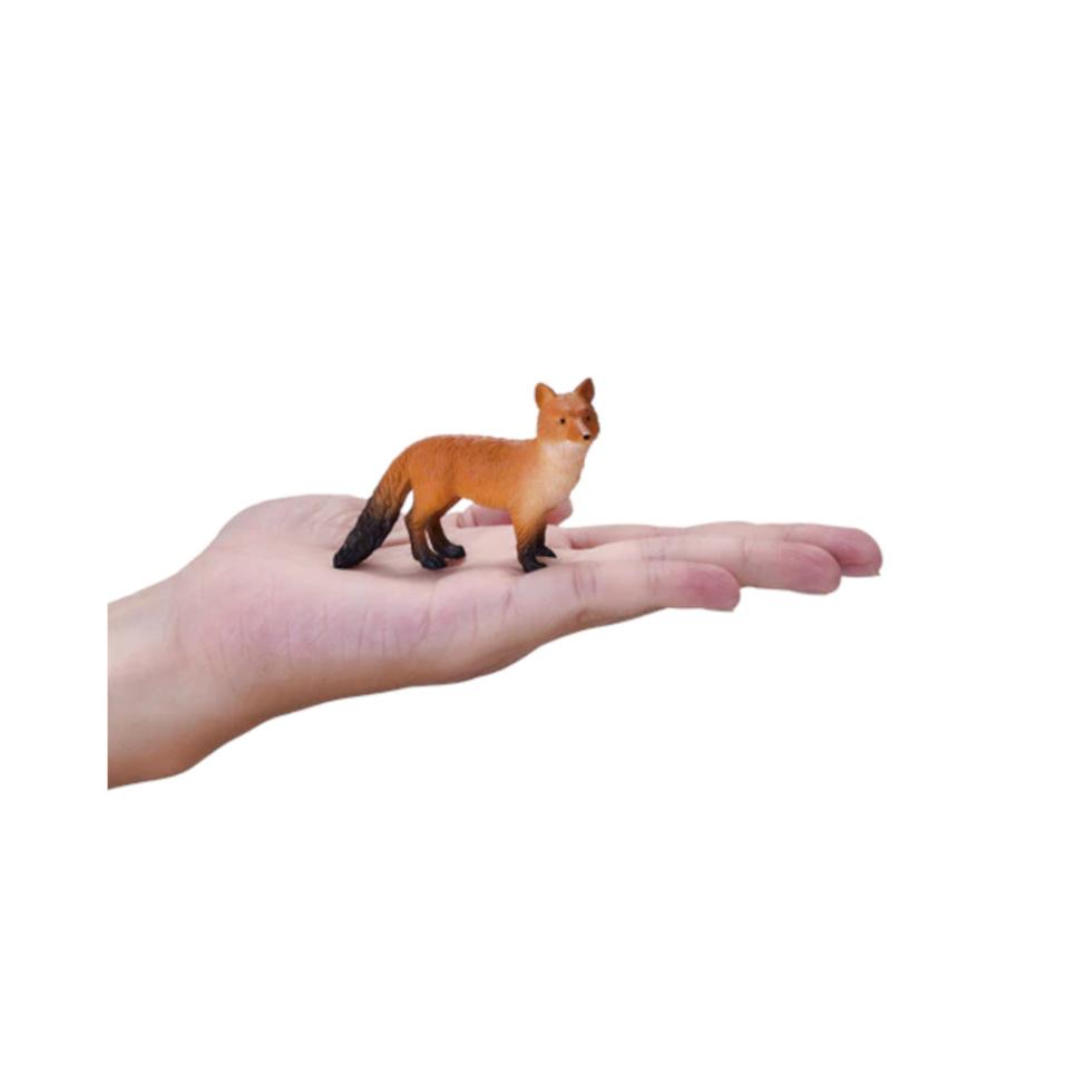 Raposa Vermelha | S
