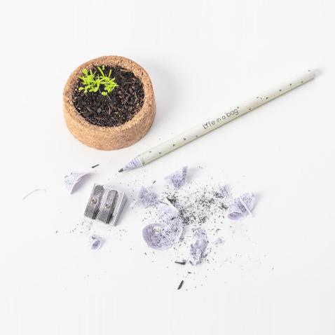 Grow Pencil