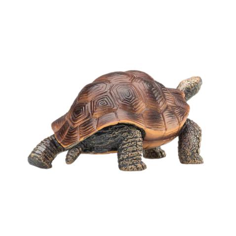Tartaruga gigante | L