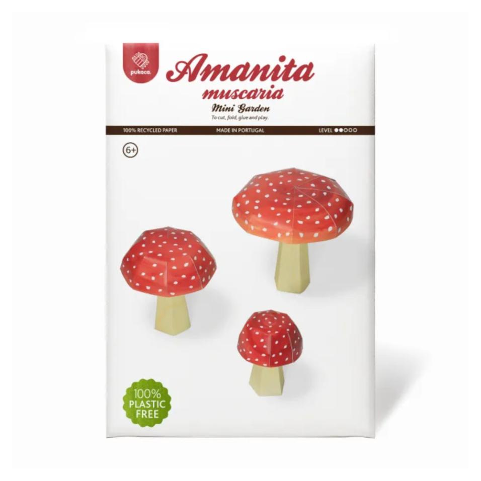 Mini Jardim | Amanita muscaria