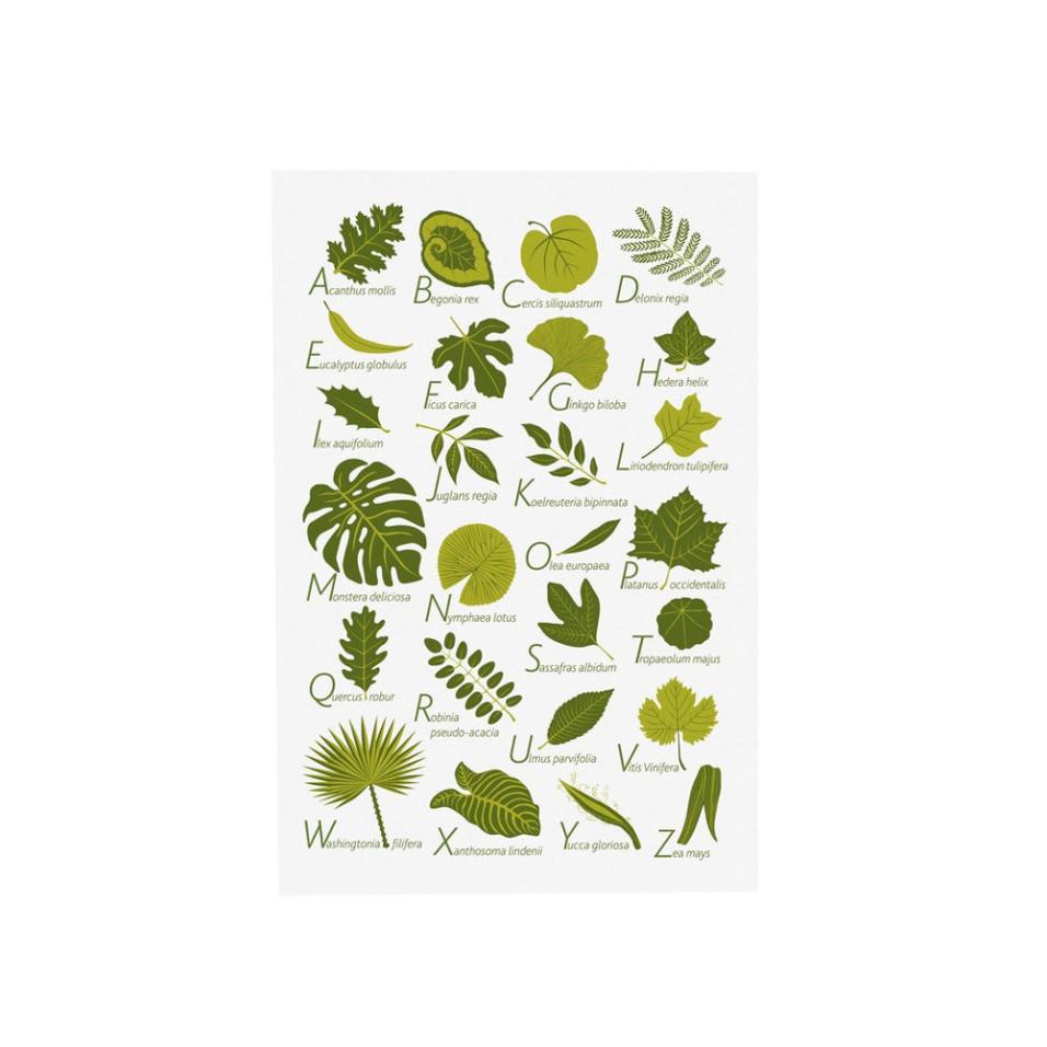 Alphabet Poster | Leaves (EN)