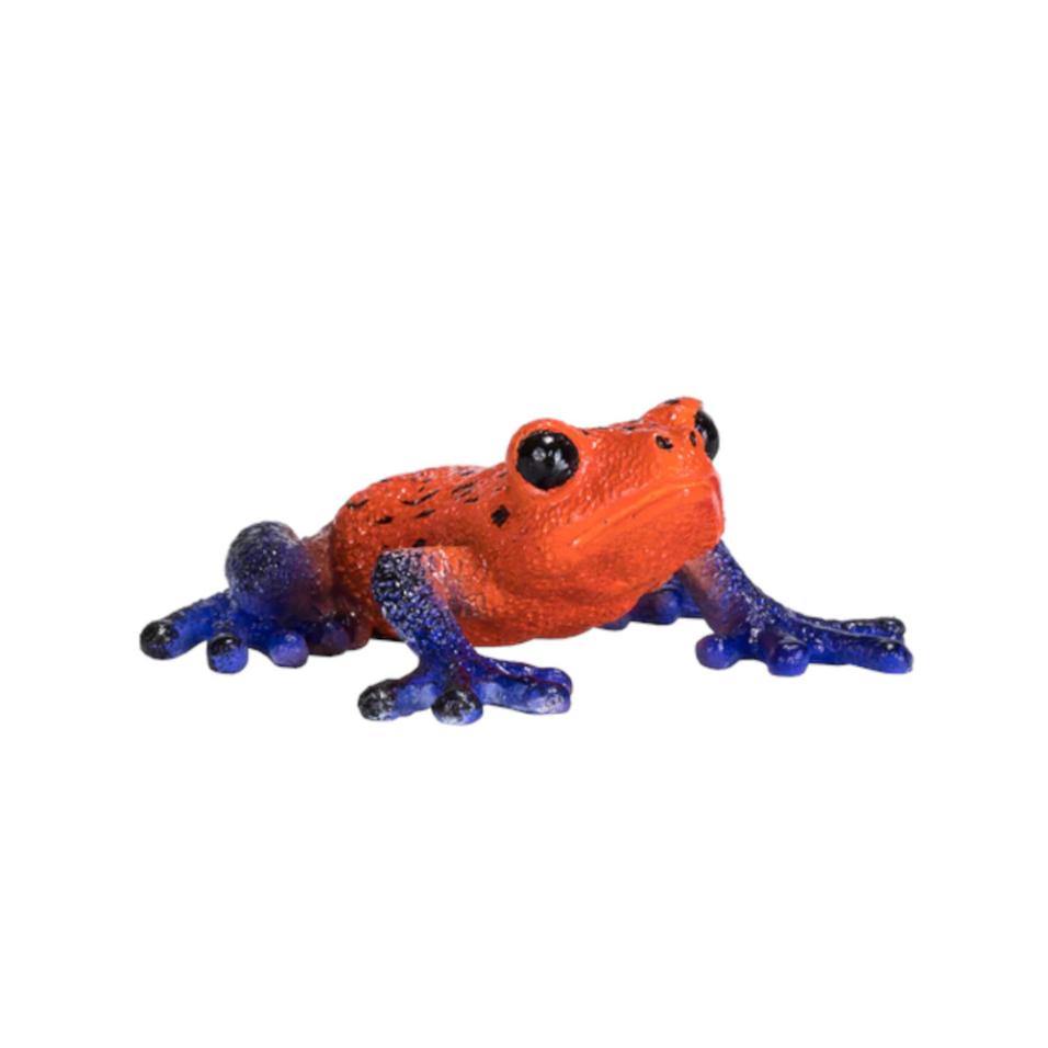 Sapo Venenoso | M