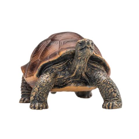 Tartaruga gigante | L