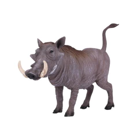 Javali Africano | L
