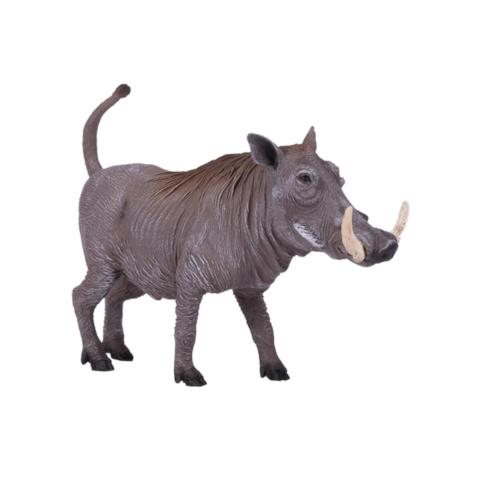Javali Africano | L