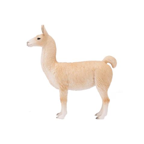 Lama | L