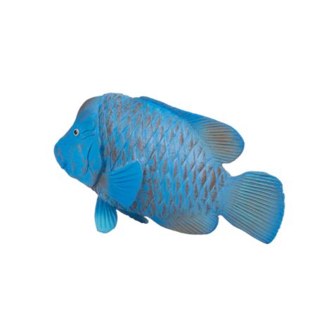 Groper Azul - L