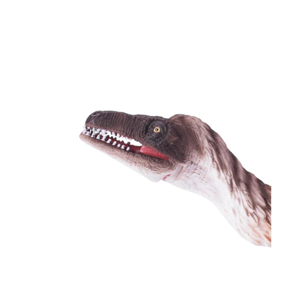 Troodon mandíbula articulável