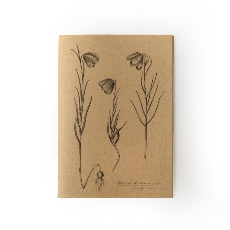 Caderno Herbarium | A5 - Fritilária-lusitânica, UP