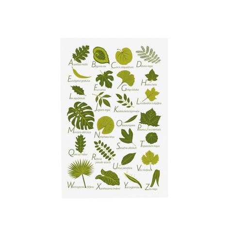 Alphabet Poster | Leaves (EN)