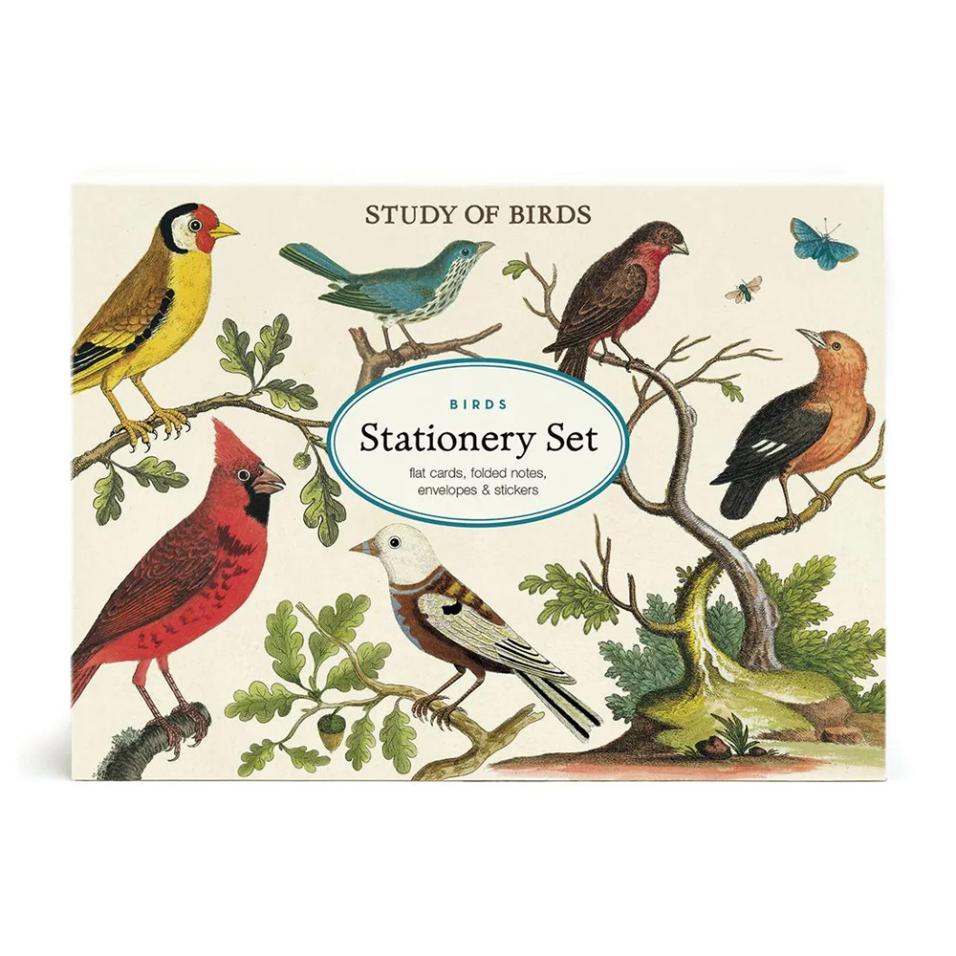 Set papelaria Cavallini Birds