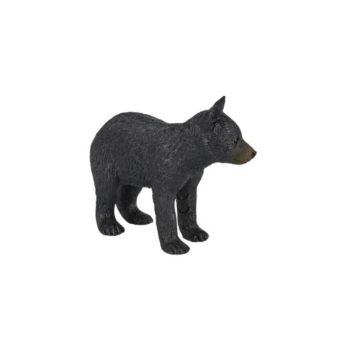 Urso Preto Filhote | S