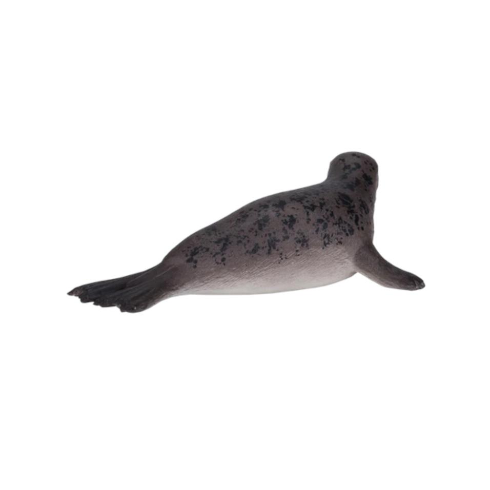 Foca Cinzenta | L