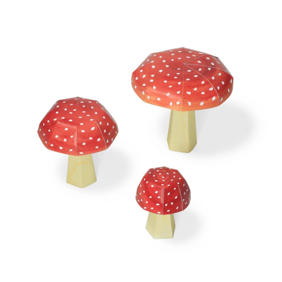 Mini Jardim | Amanita muscaria