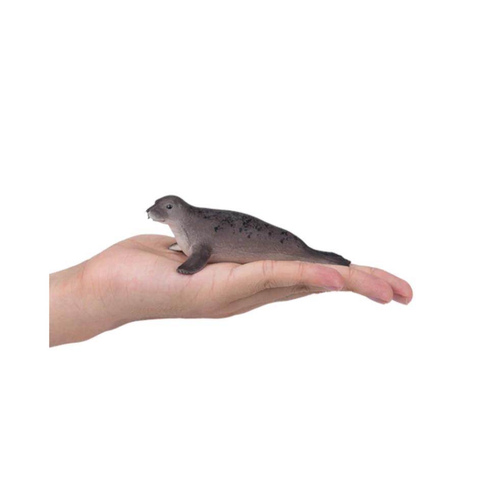 Foca Cinzenta | L