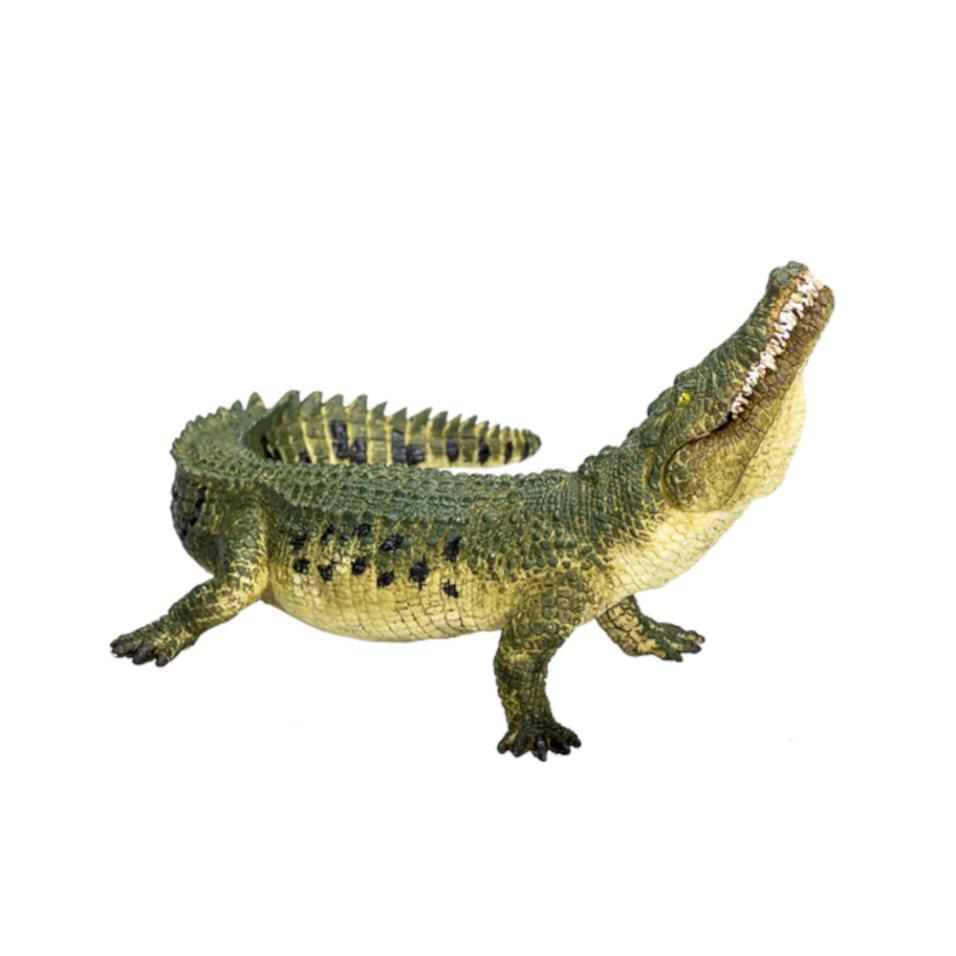 Crocodilo c/ Mandíbula art. XL