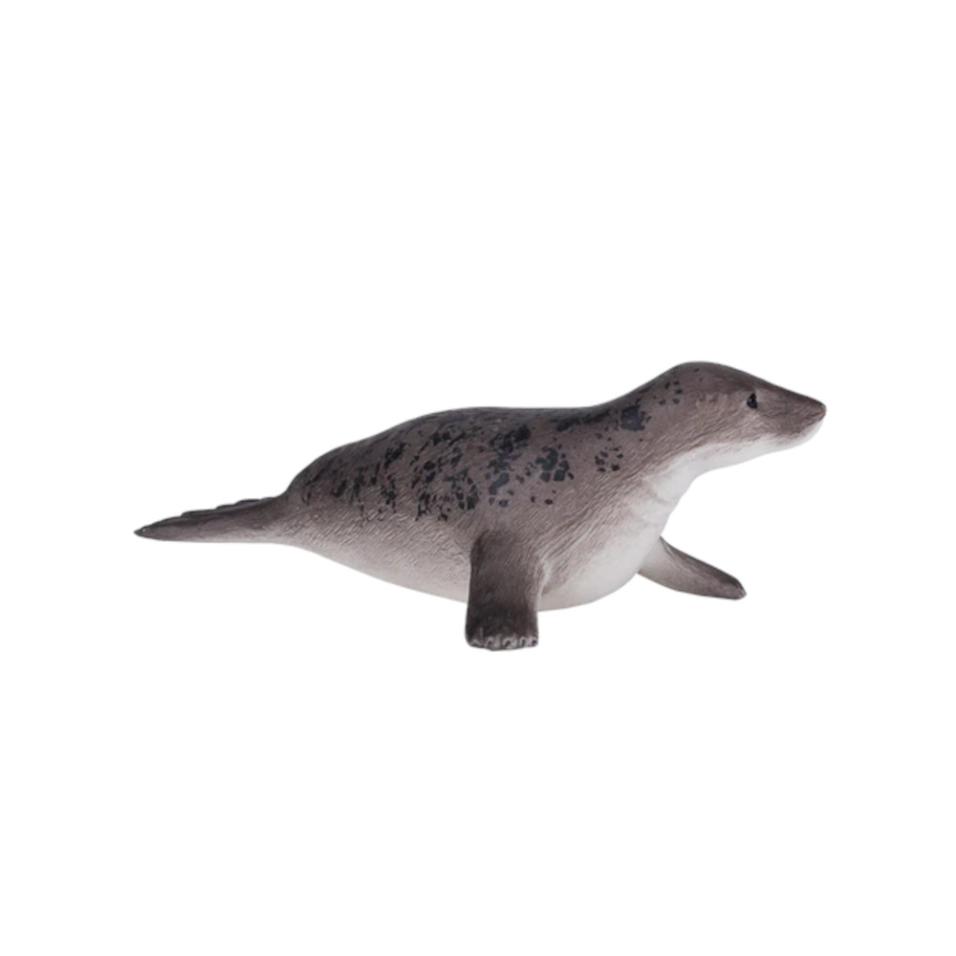 Foca Cinzenta | L
