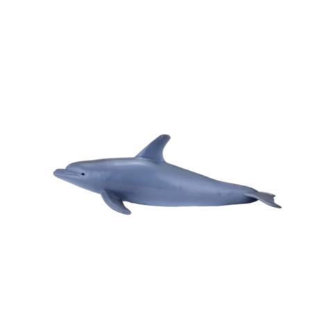 Tursiops (Golfinho Nariz garrafa)