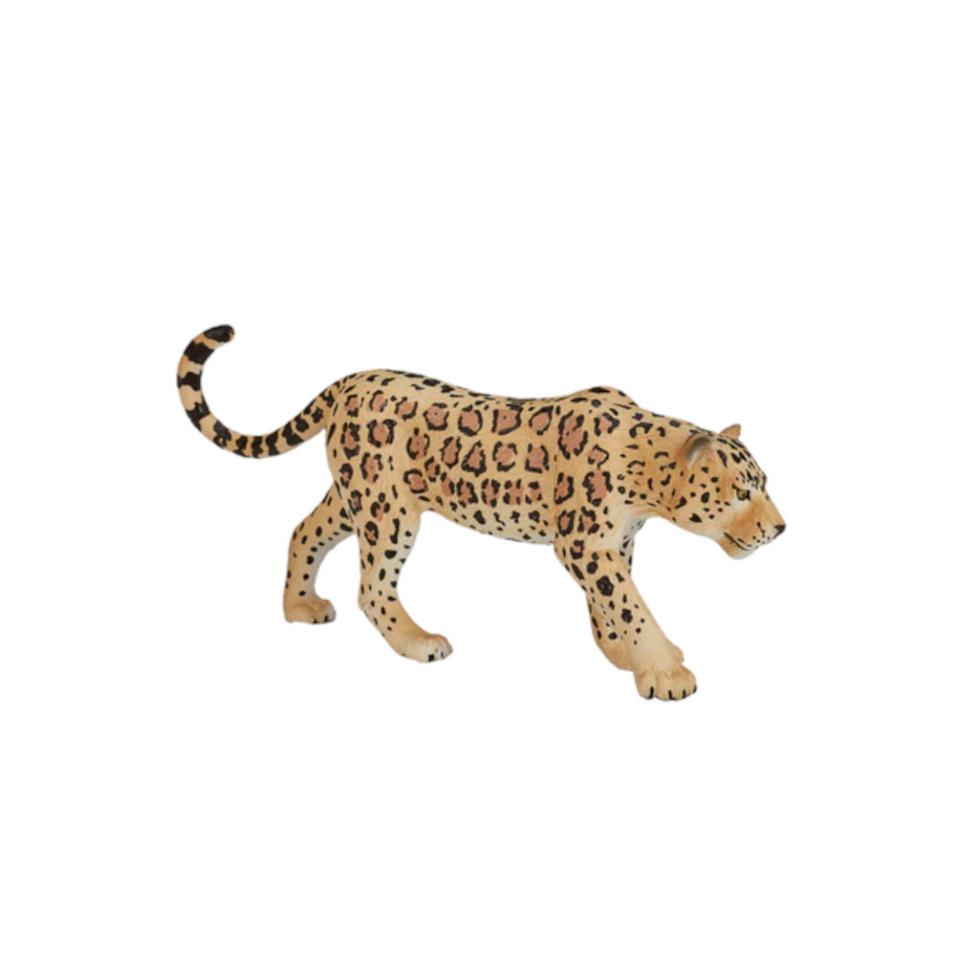 Leopardo | L