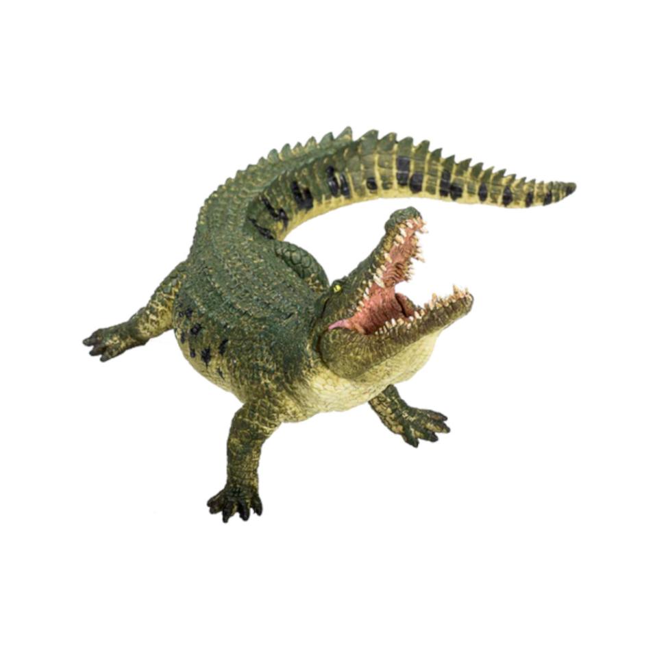 Crocodilo c/ Mandíbula art. XL