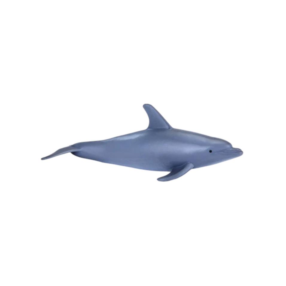 Tursiops (Golfinho Nariz garrafa)