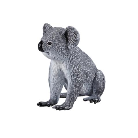 Koala | M
