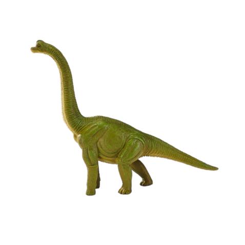 Brachiosaurus verde | XXL
