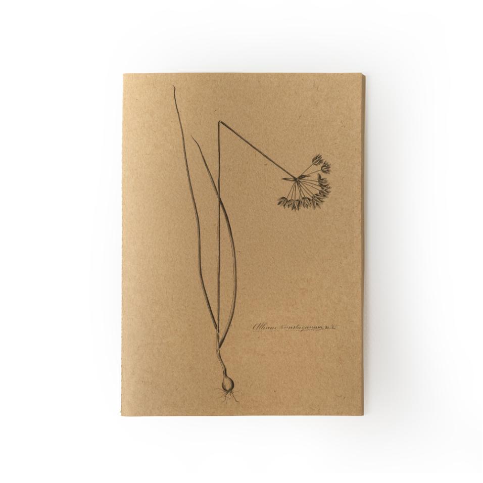 Caderno Herbarium | A5 - Alho-de-marrocos, UP