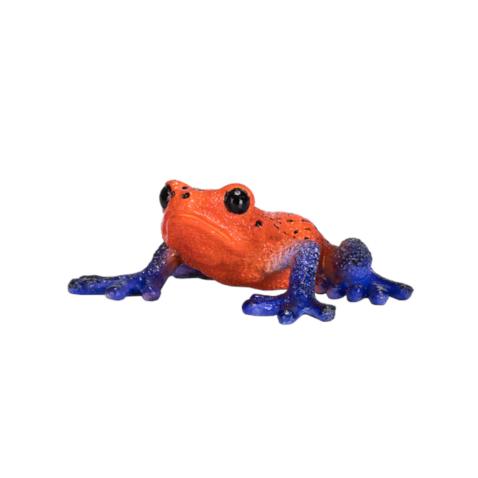 Sapo Venenoso | M