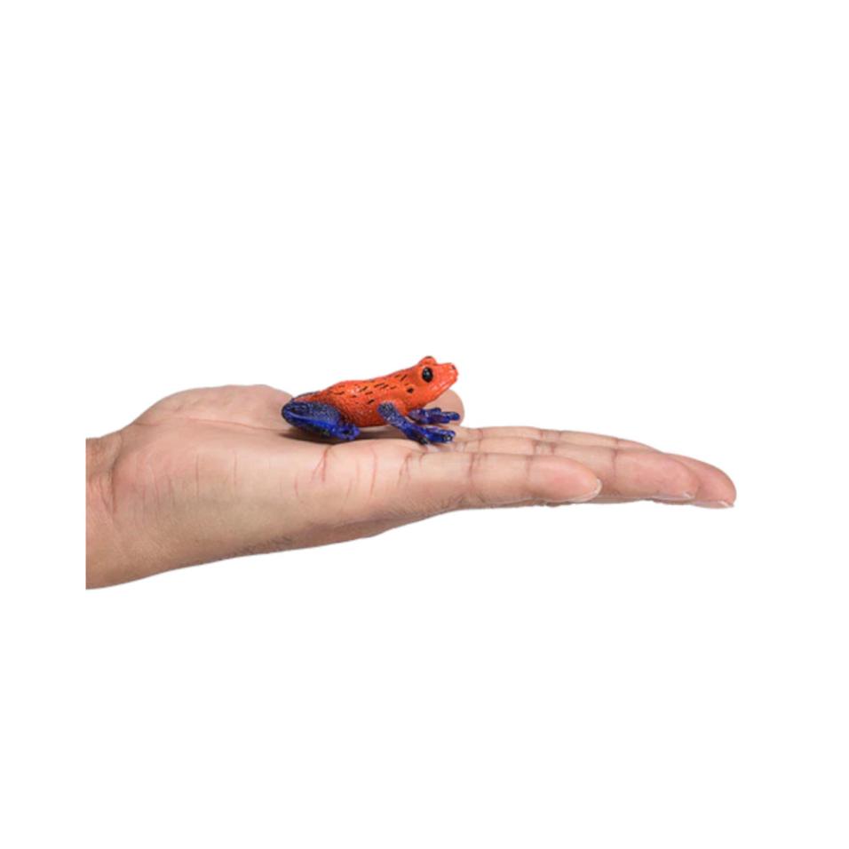 Sapo Venenoso | M