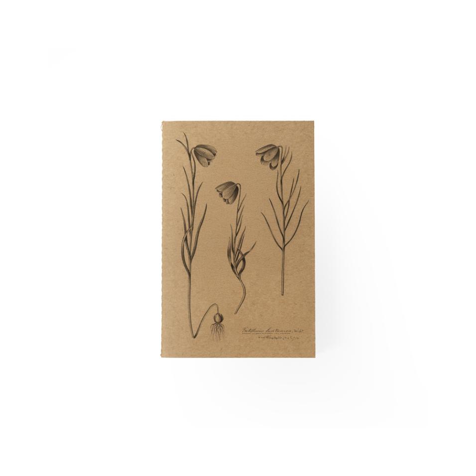 Caderno Herbarium | A6 - Fritilária-lusitânica, UP