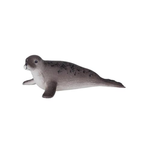 Foca Cinzenta | L