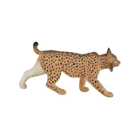Lince Ibérico | M