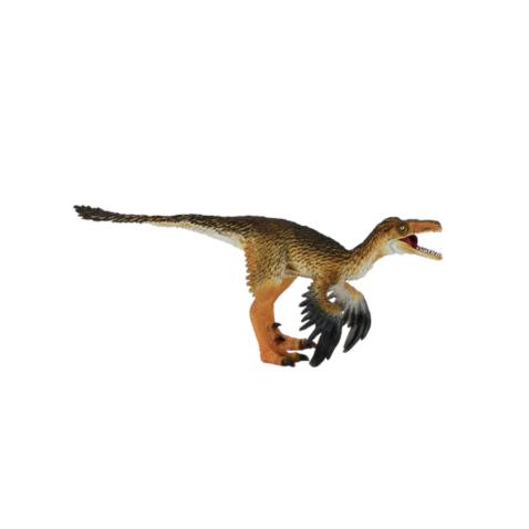 Troodon c/ Mandibula art. - XXL