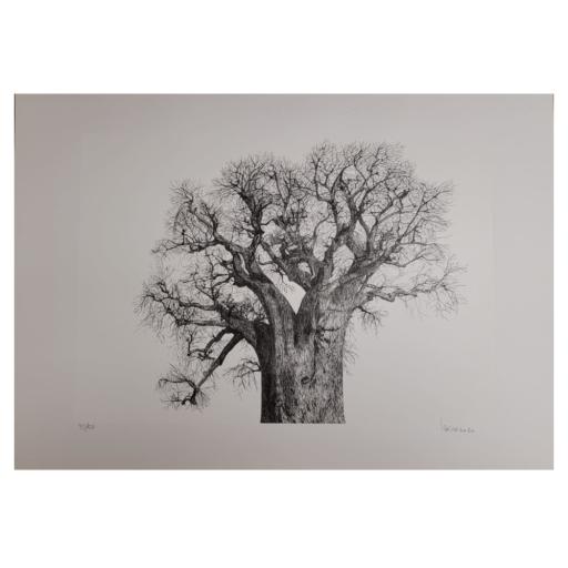 Árvores #4, José Paiva | 2020 (SEM MOLDURA)